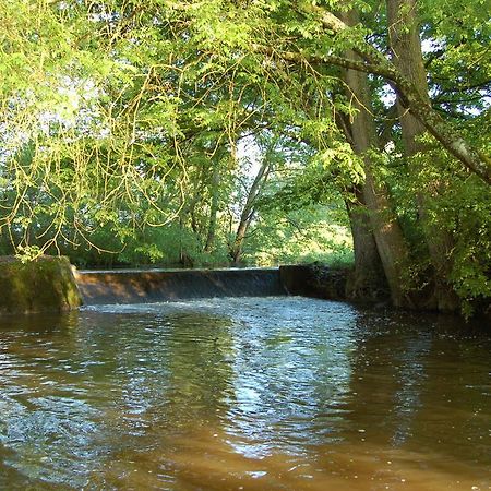 Le Moulin Neuf Panzió Vignoux-sur-Barangeon Kültér fotó